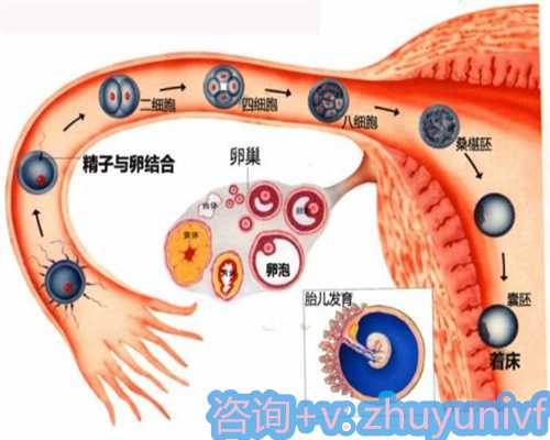 天津做代孕多少钱,如何改善宝宝尿道下裂