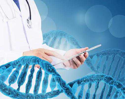 天津试管供卵代怀,湛江附属医院人工授精