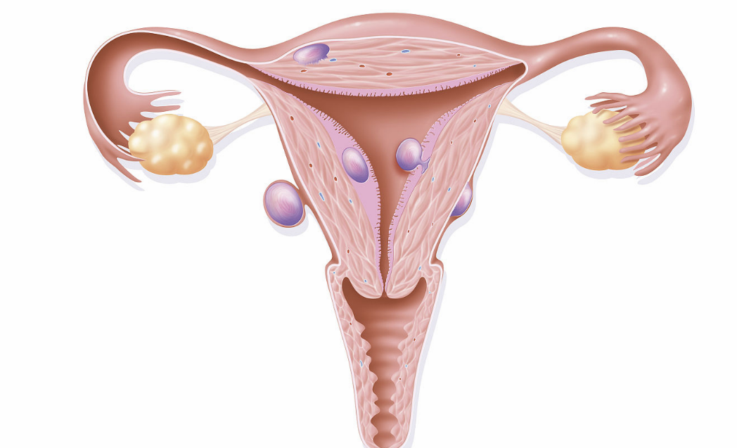 天津代生套餐，试管婴儿长方案促排后取一次卵可以移植几次？