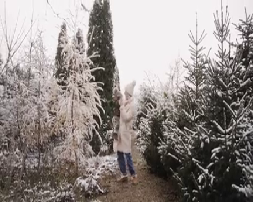 北京佳缘医院做供卵试管需要多少钱？