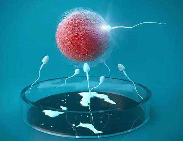 天津三代试管婴儿成功率有多高？内附三代试管费用一览！