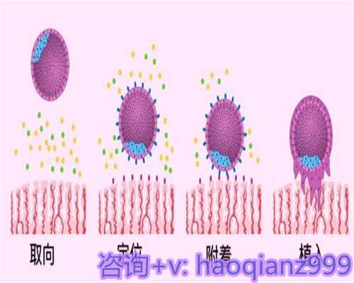 兰州第三代试管助孕包生儿子多少钱？附助孕价目表