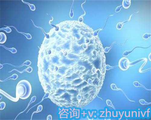 5bc囊胚在胚胎等级中相较于第几级？