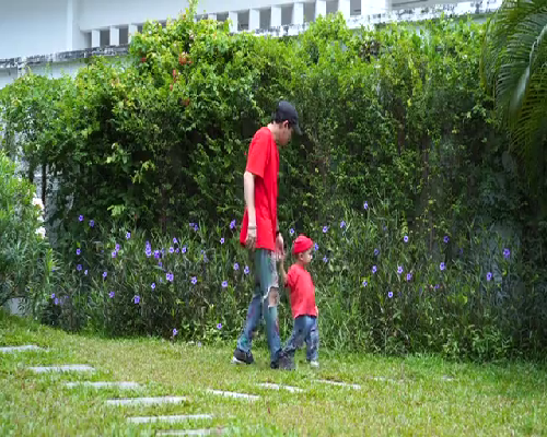 试管婴儿人卵泡的体外培养