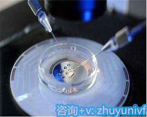 地下供卵电话，中医治卵泡发育不良(卵泡期小于1.4什么意思？)