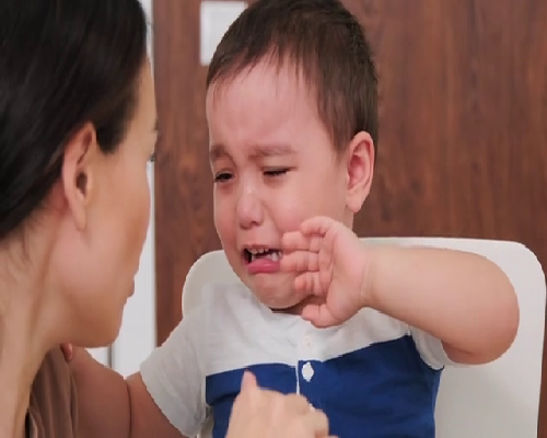 马来西亚三代试管助孕公司预算