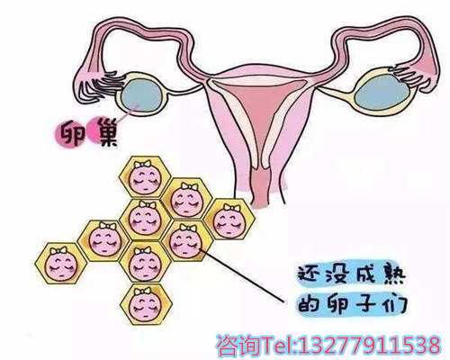 南京试管代孕医院排行,天津为什么要实施二胎政策