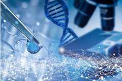 地下供卵电话，受精卵着床降温当天可以测出怀孕吗？