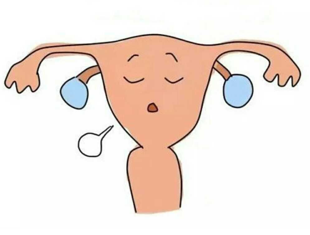 淮北助孕试管婴儿成功的策略