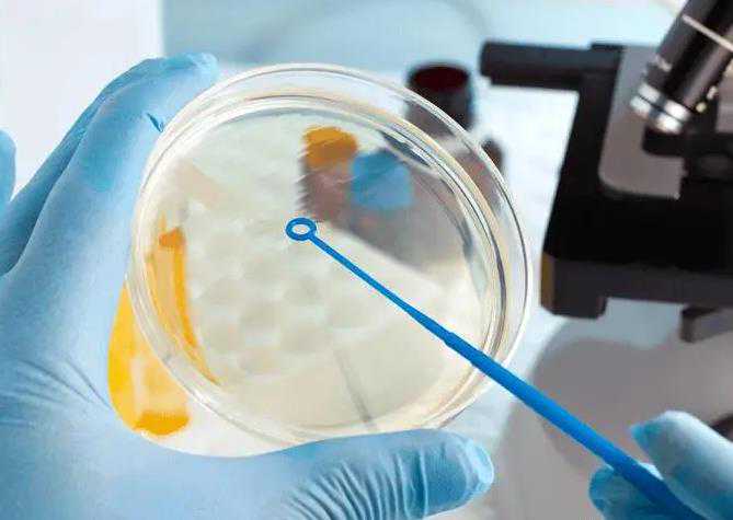 天津供卵代怀男孩，天津做精液检查哪家医院好 天津精子检查费用多少