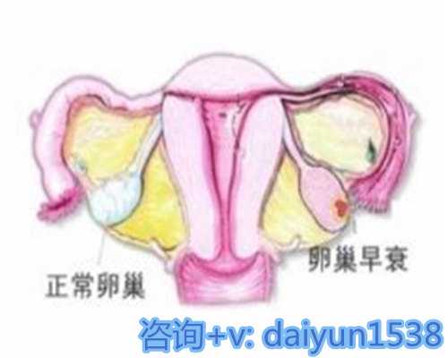 厦门试管助孕公司的费用标准，能不能报销？