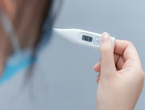 试管二胎例假结束到排卵期能直接移植胚胎吗