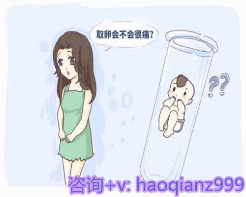 代孕最靠谱公司，在天津做试管婴儿多少钱