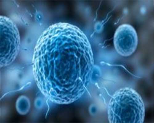 AID供卵试管患者就诊有什么注意事项？