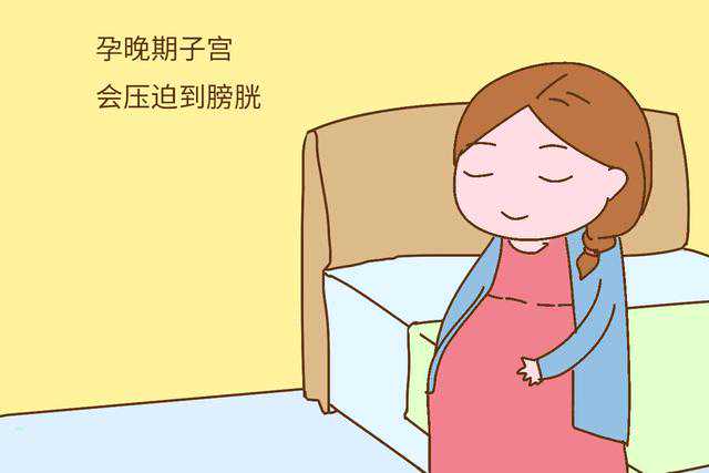 天津助孕套餐，桑葚胚多少天后会转变为囊胚？