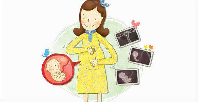 国内代孕咨询，囊胚pgs通过率有多高？