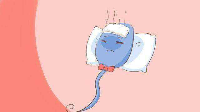 移植前做宫腔灌注几天间隔一次，供卵试管双胎妈妈的经验分享!