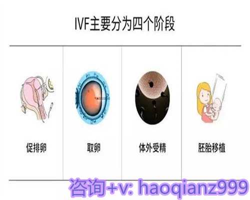 自然周期取卵的成功率自然周期取卵成功经验